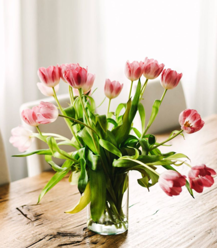 Fresh cut flowers; gardenof rico.com