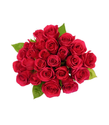 Nob Hill Trading Co. Premium Assorted Roses Bouquet